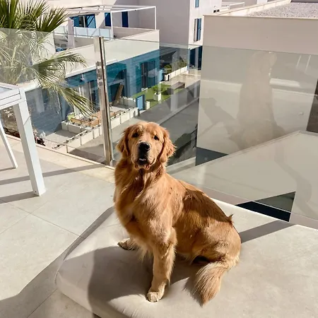 Hola Blanca - Sea, Golf, Chill Dehesa de Campoamor (Orihuela Costa)